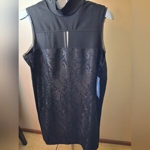 Sheer Black Sleeveless Mock Neck Dress